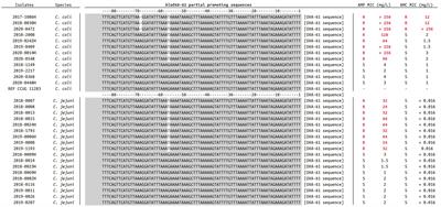 Combined genomic-proteomic approach in the identification of Campylobacter coli amoxicillin-clavulanic acid resistance mechanism in clinical isolates